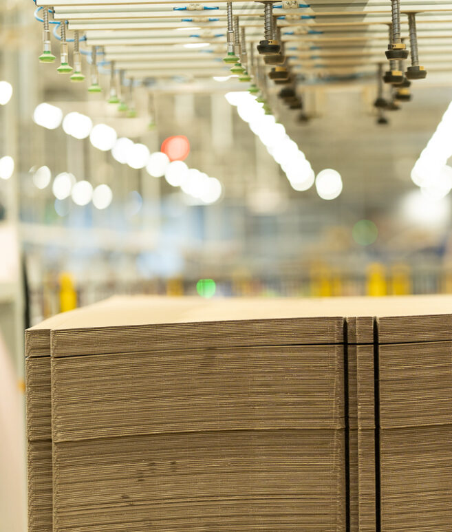 Fully_automated_multiformat_carton_box_forming_product_loading_system_robotic_packaging_cell_robotic_product_loading_sealin_solution_up_to_14_boxes_min_VMG_TECHNICS_bf4-aspect-ratio-657-773