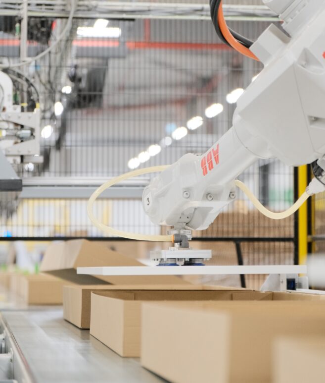 Automated_box_forming_product_loading_system_End_of_Line_Automation_robotic_packaging_cell_robotic_product_loading_sealin_15_boxes_min_VMG_TECHNICS_p6-scaled-aspect-ratio-657-773